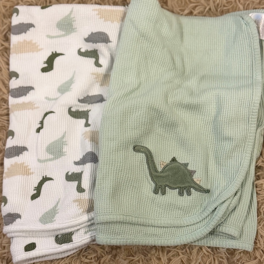 Two-Piece Sage Green Dino Baby Blanket Set